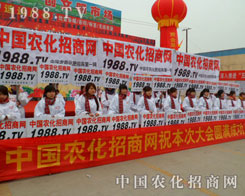 r(nng)̾W(wng)ȫԸľl(f)Pĺ