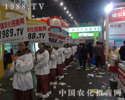 (du)鴩ڟ[2012ݷϕ(hu)(chng)