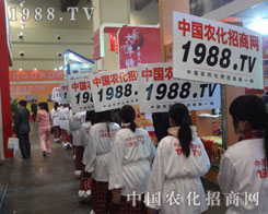 1988.TVһИI(y)I(lng)^܊