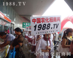 MչF(xin)1988.TVɌĺ~̈́