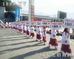 12½r(nng)r(nng)W(wng)ƏVǄݲɓ