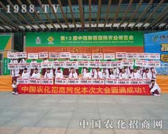 1988.TVչ12½r(nng)I(y)[