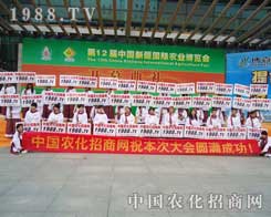 (jin)l(f)չr(nng)W(wng)V韵