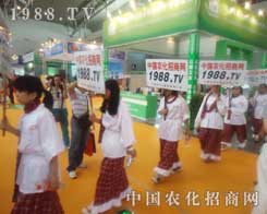 r(nng)̾W(wng)xo(w)Ċ^͈(jin)ֲиǰM(jn)