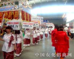 r(nng)̾W(wng)Fꠔyֲ