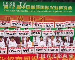 r(nng)W(wng)ˣ؟һoǰ