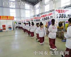 Сꖂ?c)?013|ʡչֱǰ