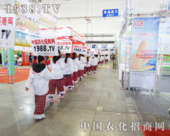 2013|ʡϽ(hu)ϡС(yng)