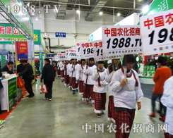 2013|Ͻו(hu)(jin)(qing)Сꖂ