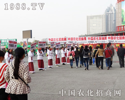 16úr(nng)ˎչϵСꖂ