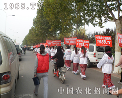 2013ɽ|ֲ(hu)r(nng)׌չ(hu)