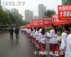 2013(j)ֲ(hu)ڡСꖡĹâ