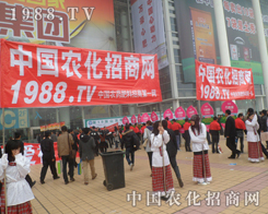 2013ɽ|ֲpF(tun)꠵