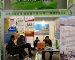 2013׏(f)չ[(hu)L(fng)ĺ