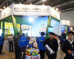 ɽ|Ȫּз2013׏(f)ʕ