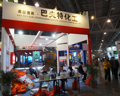 ͷر2013ʮČ׏(f)չ[F(xin)