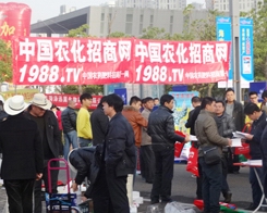 2013ֲ(hu)r(nng)Ч(qing)