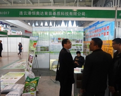 W_(d)29Ͼֲ(hu)еõ߶ٝP(yng)