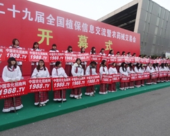 2013Ͼֲ(hu)С(yng)(du)(sh)