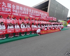 29ֲ(hu)r(nng)W(wng)(qing)(sh)w(li)