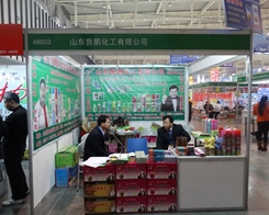 ɽ|iչF(xin)2013ֲ(hu)