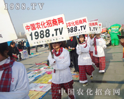 ڰˌɽ|r(nng)Yչ[(hu)S̎Ҋ(jin)r(nng)F(tun)(du)^Ӱ