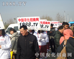 ʝɵ8r(nng)Yו(hu)׌r(nng)W(wng)_(ti)A