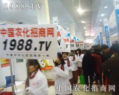 ҂r(nng)̾W(wng)һ֧R