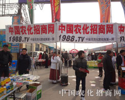 r(nng)̾W(wng)or(nng)Y(hu)(li)o(w)C(j)