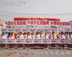 С(yng)ЦӰF(xin)2013fr(nng)(hu)