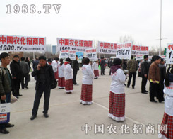 2013ӱֲ(hu)r(nng)W(wng)_(ti)A