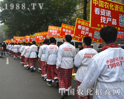 2014ɽ|ֲ(hu)_Ļ r(nng)W(wng)F(xin)(chng)