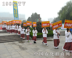 r(nng)W(wng)2014ɽ|ֲϵʽܿ϶