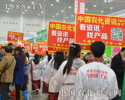 r(nng)̾W(wng)hֲ(hu)ϊ^ƴ