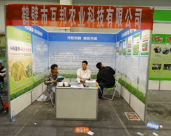 r(nng)I(y)ò11úԭϕ