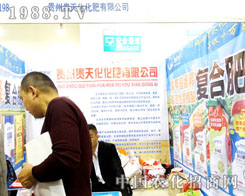 FF컯ɳ˾ӢF2015ɽ|ֲ