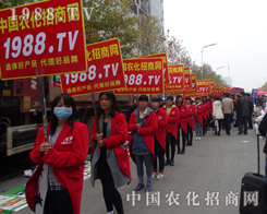 Ϸֲr(nng)W(wng)٬F(xin)ӢL(fng)