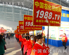 21ùINӲ[r(nng)W(wng)龫ٱ