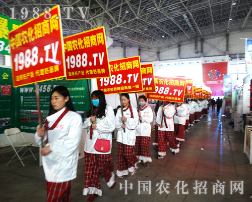 С(yng)(du)2015ӱֲp(hu)@tɫɫ