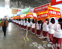 ڶʮߌúӱֲ(hu)1988ֱǰ