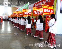 27Üֲ1988r(nng)W(wng)֮oģ