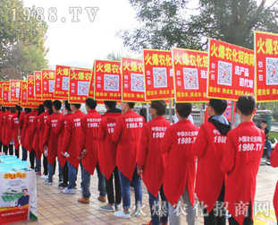 2016ɽ|ֲp_Ļr(nng)W(wng)𱬁u