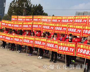 2016ɽ|ֲ(hu)1988.TV»