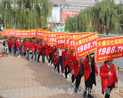 2016ɽ|ֲו(hu)1988.TVȫԸ(zhng)