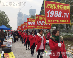 r(nng)t--2016Ͼֲ}ɫʣ