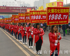 2017ɽ|ֲ(hu)r(nng)Ч(qing)