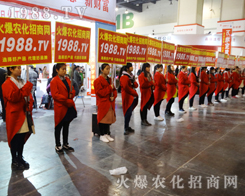 1988.TVđ(zhn)ʿ2017Ϸp(hu)չF(xin)