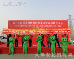 r(nng)W(wng)F(tun)Y(ji)һyֲ2019ӱʯfֲ(hu)