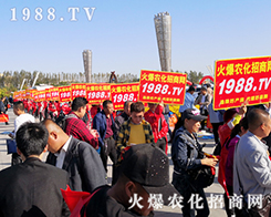 r̾Wʢb2019ʮLֲ