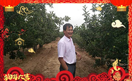 ʘI(y)ȫwTףϿ͑옷(l)³